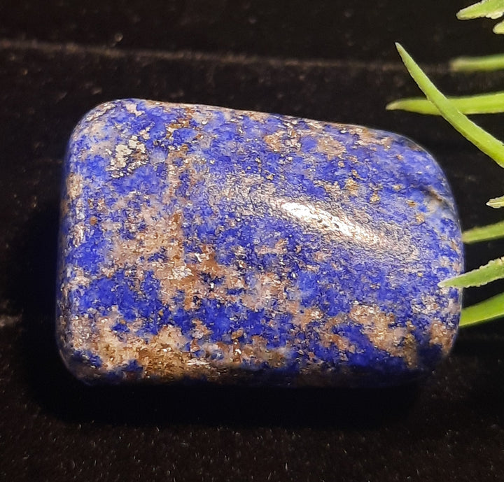 Lapis Lazuli Tumbler Stone LPZ3