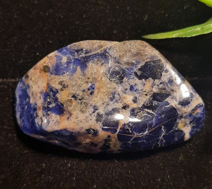 Sodalite Tumble Stone SOD1