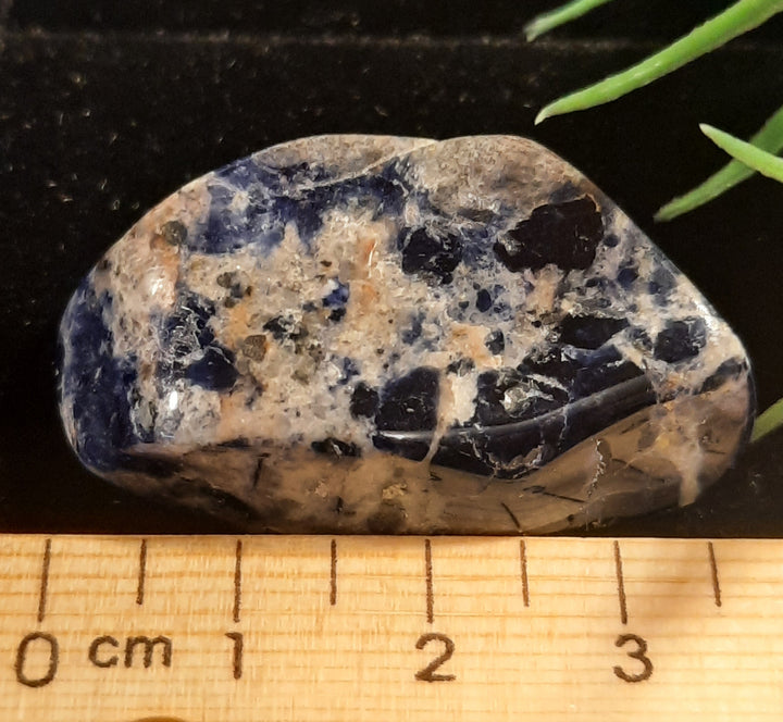 Sodalite Tumble Stone SOD1