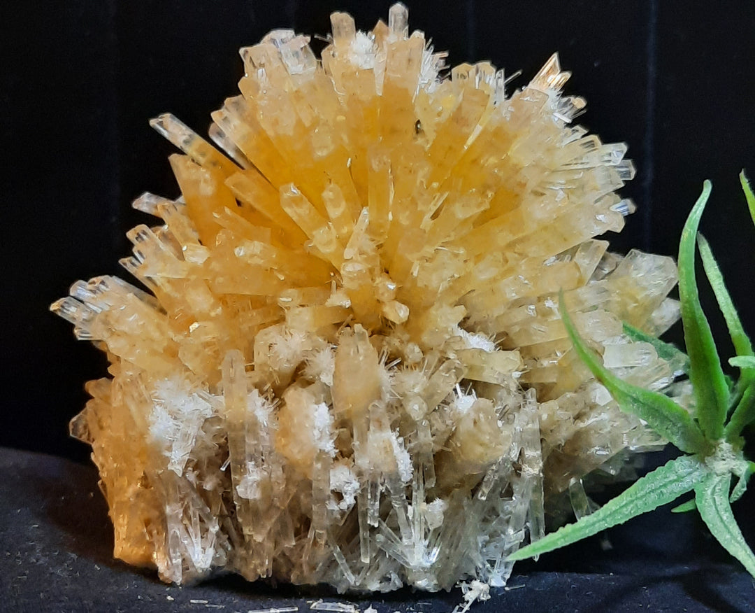 Gypsum Selenite Cluster STZ300