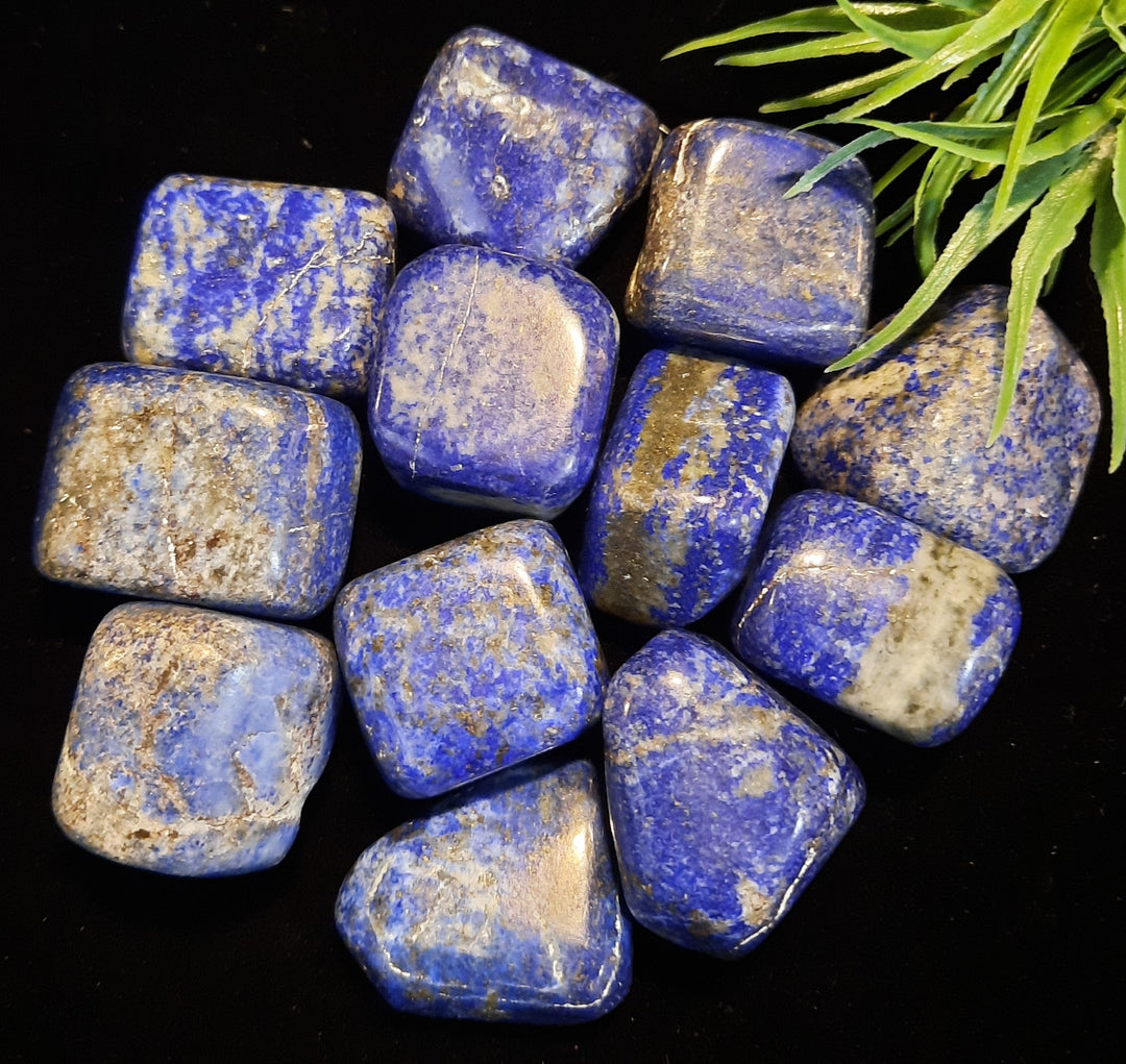 Lapis Lazuli Tumblers