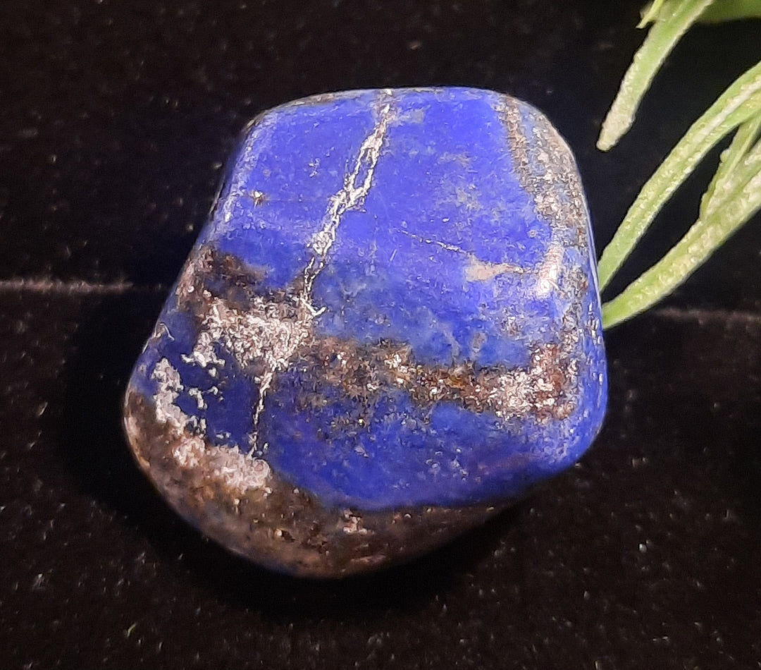 Lapis Lazuli Tumbler Stone LPZ2