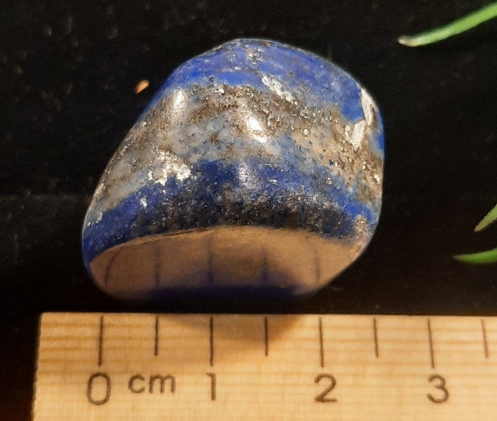 Lapis Lazuli Tumbler Stone LPZ2