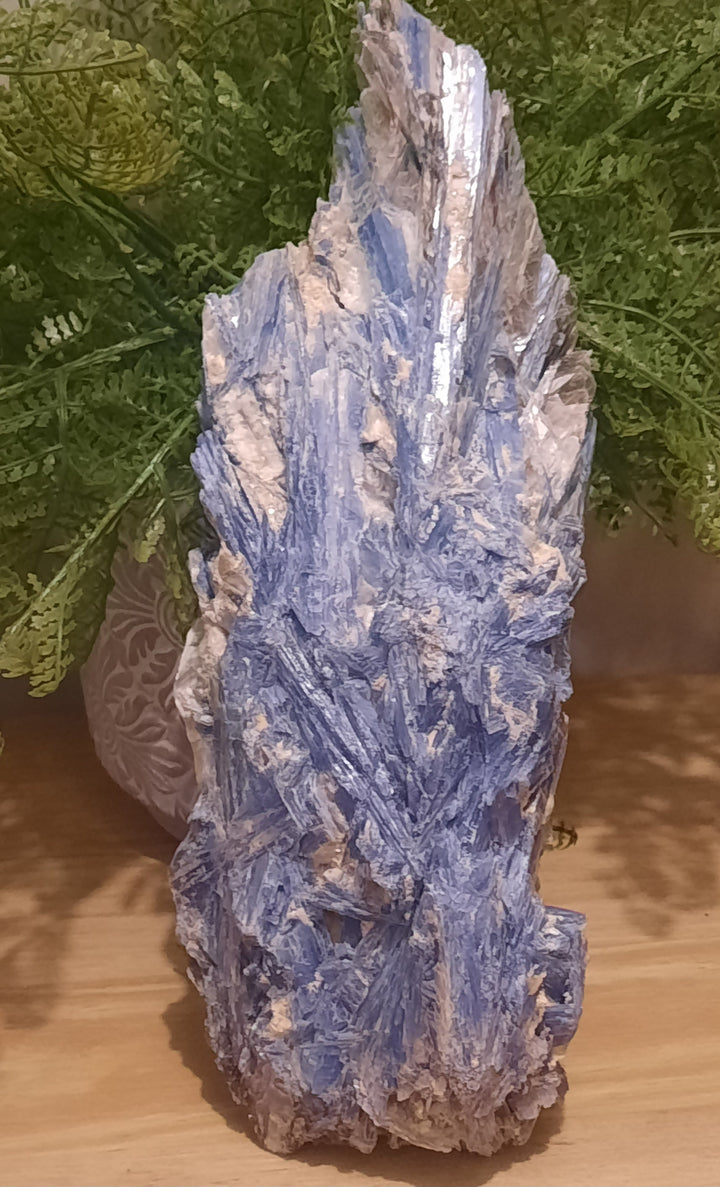 Blue Kyanite (Large 2.353 Kilograms) STZ324