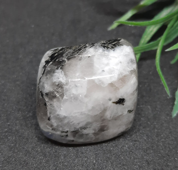 Moonstone Tumbler Stone MS1