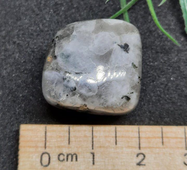 Moonstone Tumbler Stone MS1