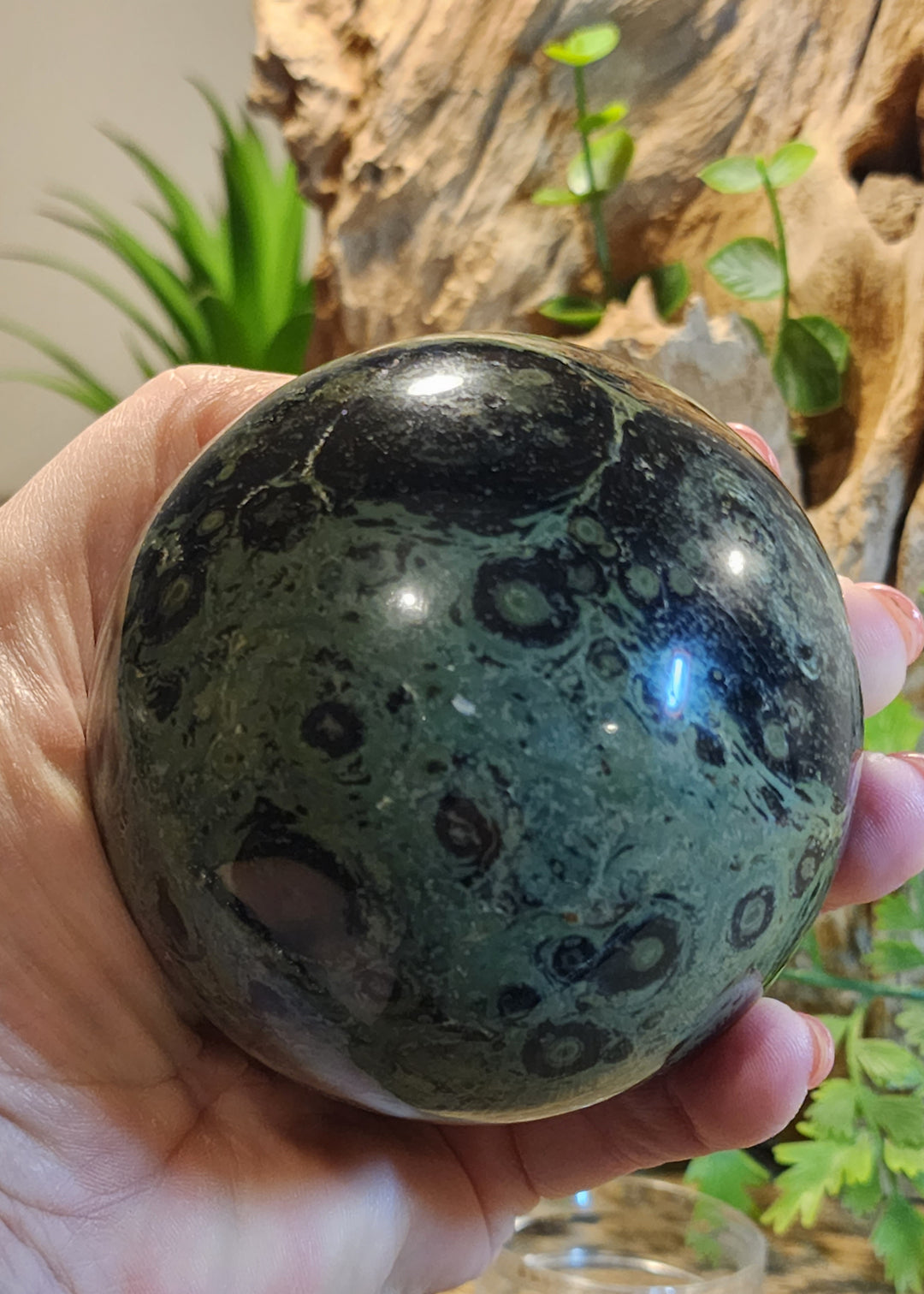 Kambaba Jasper Sphere (728 grams)