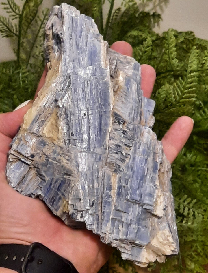 Blue Kyanite (1.150 Kilograms) STZ323